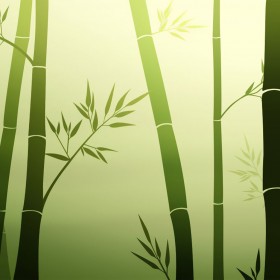 Bamboo iPad Wallpaper