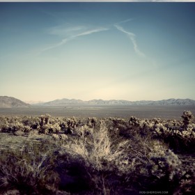 Desert Landscape iPad Wallpaper