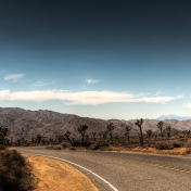 desert-road
