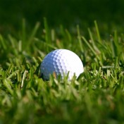 golf-ball-in-grass