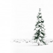 White Christmas iPad Wallpaper