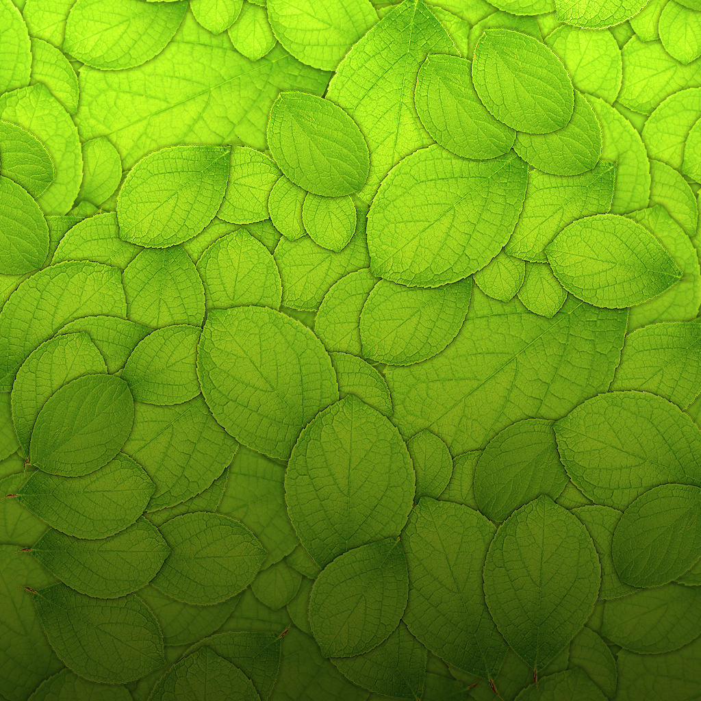 Leaf Pile iPad Wallpaper | ipadflava.com