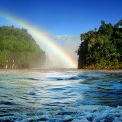 tropical-rainbow